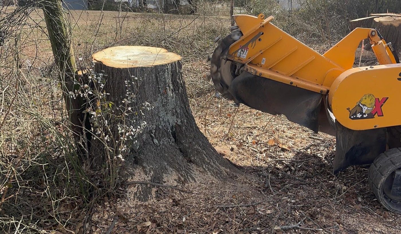 Grinder wheel approaching a tall backyard stump