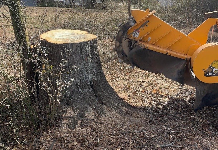 The wheel meets the stump — J&K stump grinding job photo