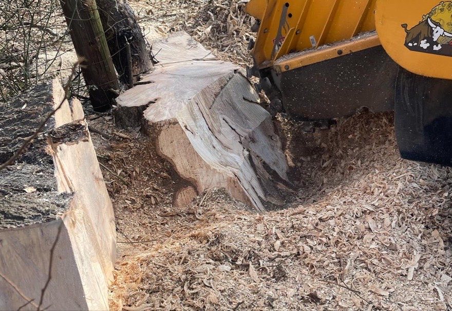 Chips flying mid-grind — J&K stump grinding job photo